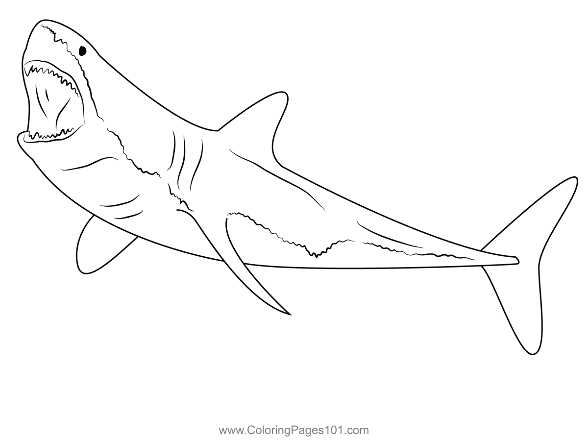 free sharks coloring pages