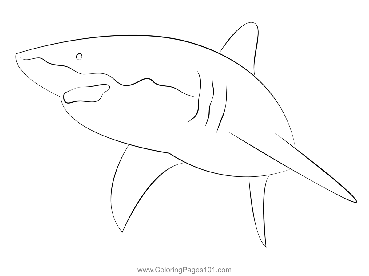 Great White Shark See Coloring Page for Kids - Free Sharks Printable