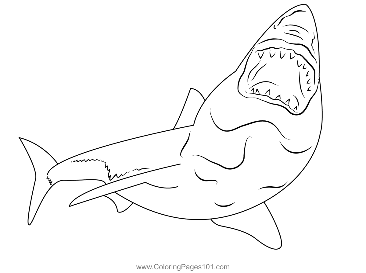 Гигантская акула раскраска