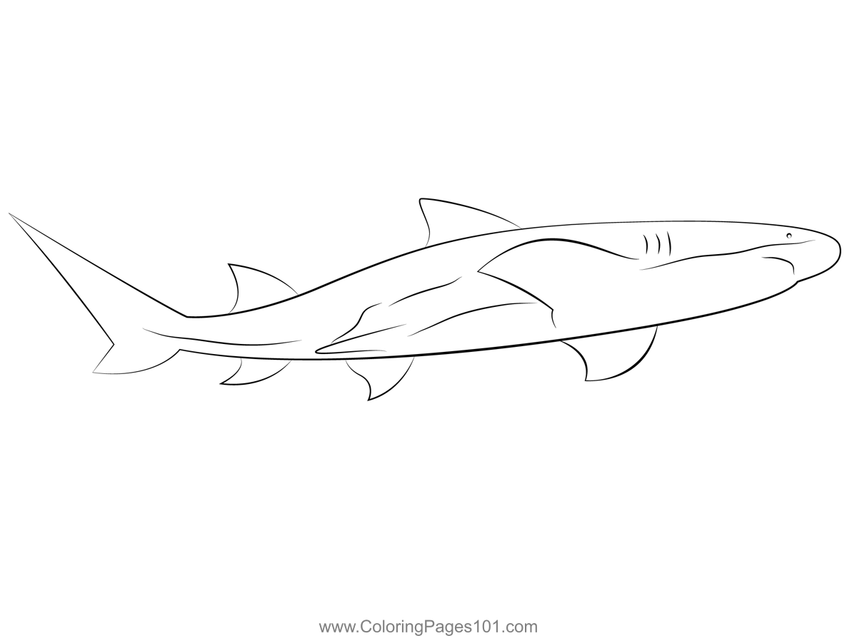 Lemonshark Aquarium Coloring Page for Kids - Free Sharks Printable ...
