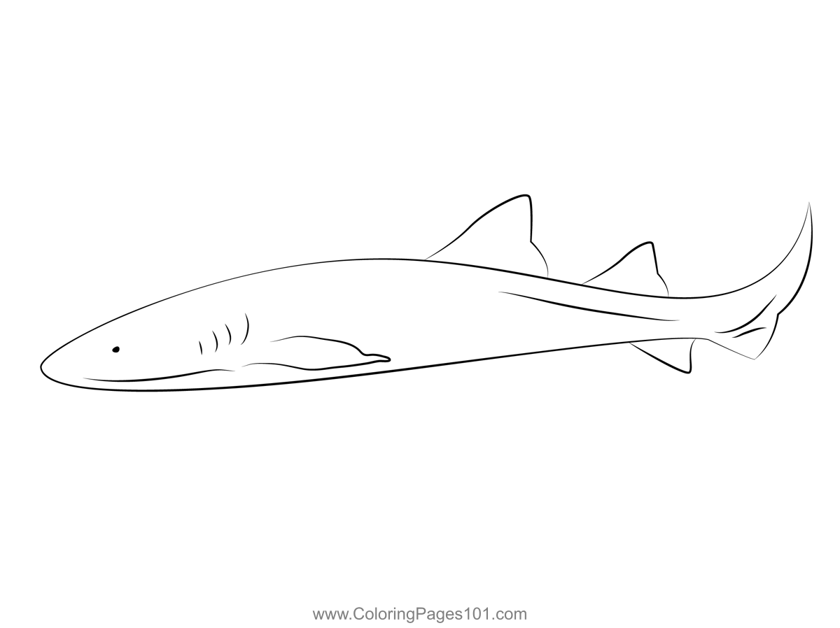 Nurseshark Slide Coloring Page for Kids - Free Sharks Printable ...