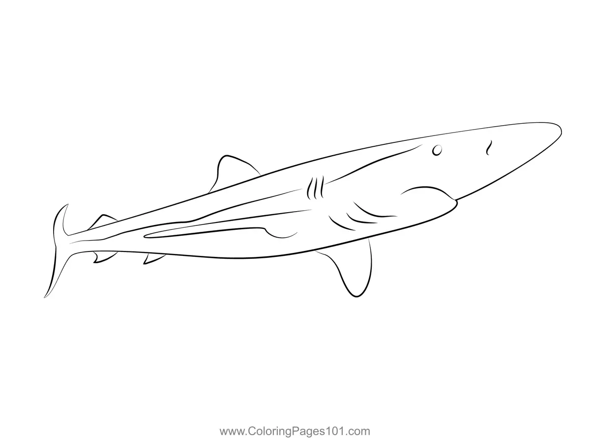 Prionace Glauca Coloring Page for Kids - Free Sharks Printable Coloring ...