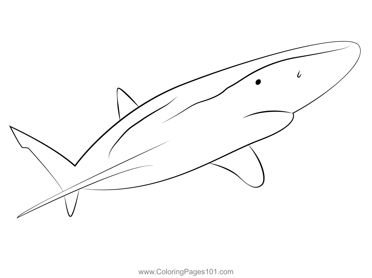 See Up Shark Coloring Page for Kids - Free Sharks Printable Coloring ...