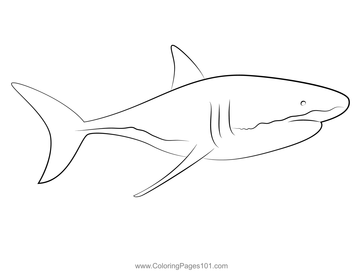 Shark Cropped Coloring Page for Kids - Free Sharks Printable Coloring ...