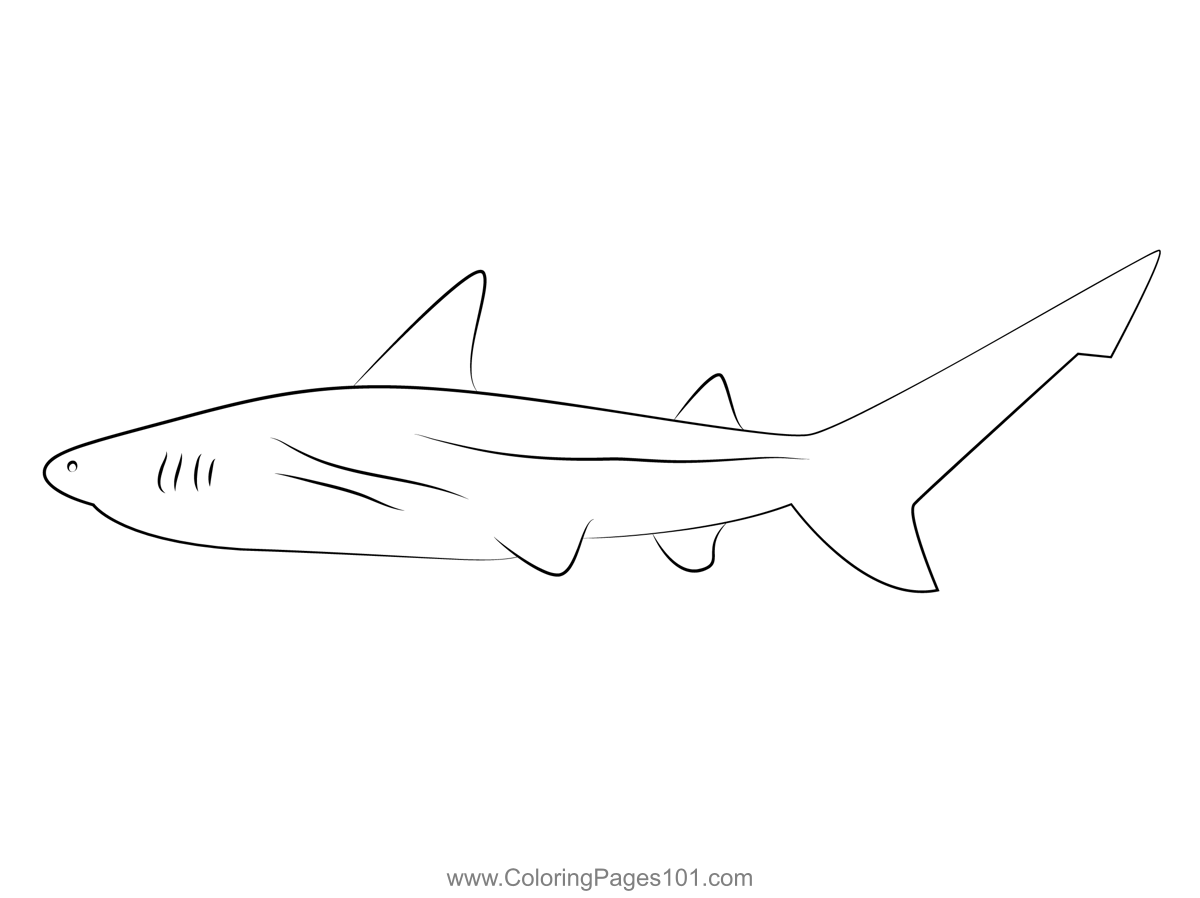 Sharks Going Coloring Page for Kids - Free Sharks Printable Coloring ...