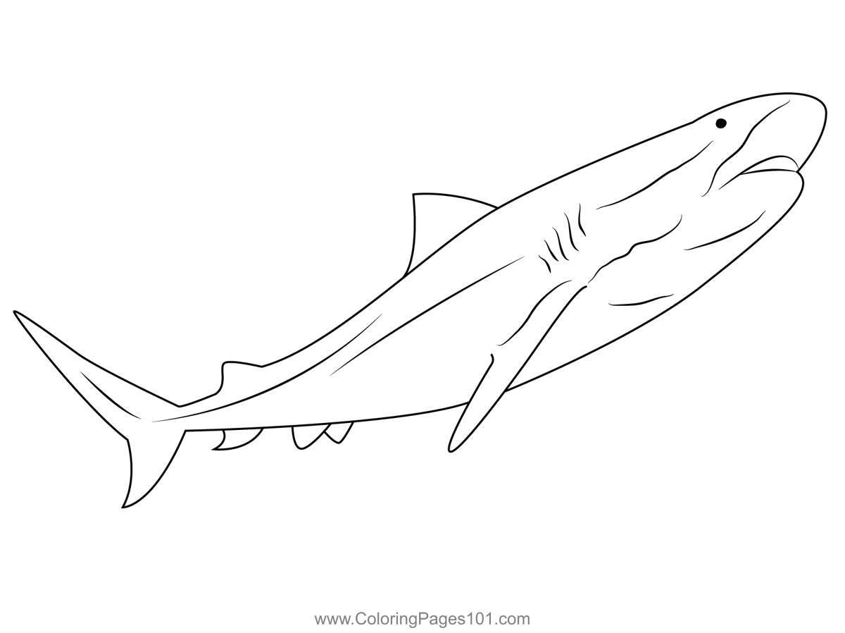 Tiger Look Shark Coloring Page for Kids - Free Sharks Printable ...