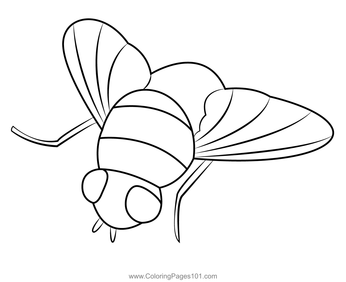 Blue Bottle Fly Coloring Page For Kids - Free Butterflies Printable 