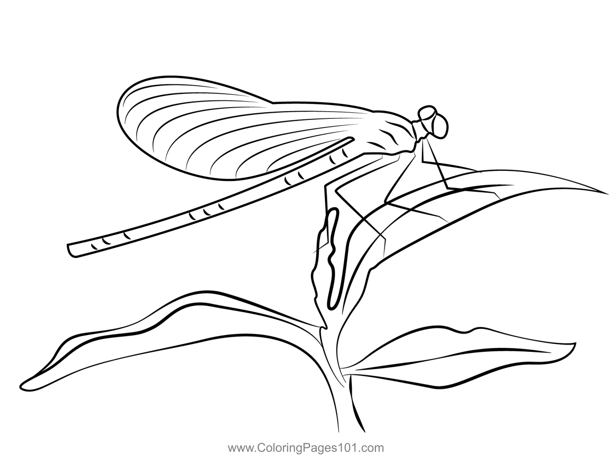 Shiny Dragonfly With Blue Wings Coloring Page for Kids - Free ...