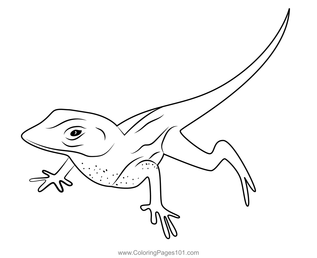 House Lizard Coloring Page For Kids Free Lizards Printable Coloring