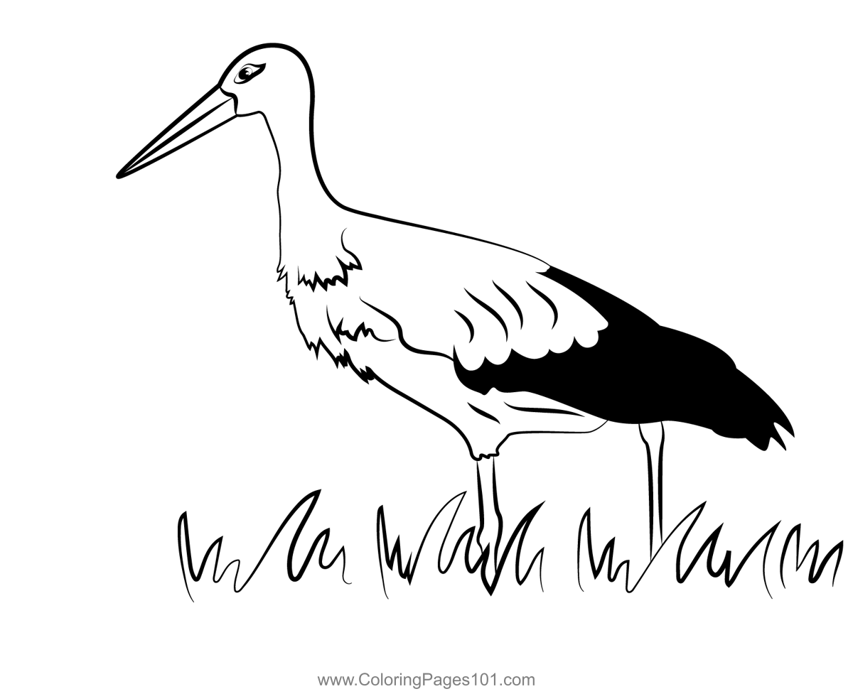 White Stork Bird Coloring Page for Kids - Free Storks Printable ...