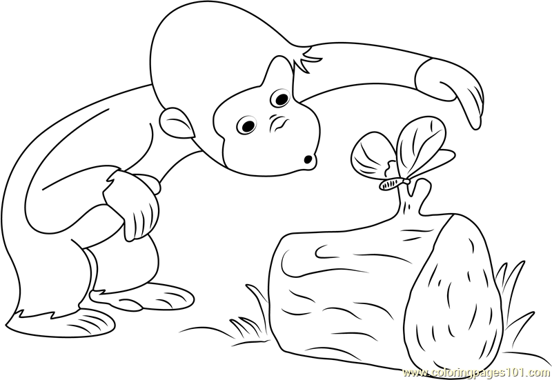 curious george coloring pages images of butterfly