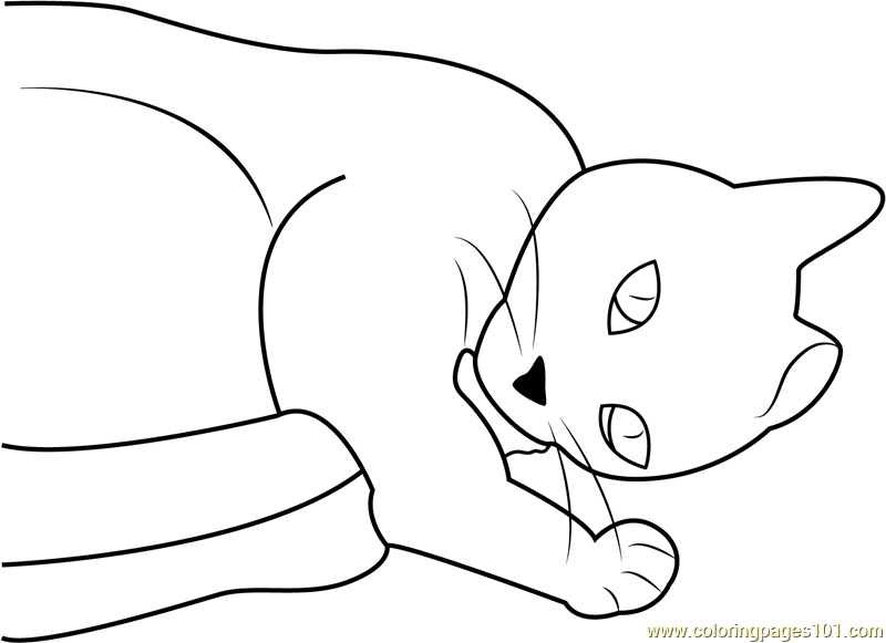 Cat Sleeping On Floor Coloring Page For Kids Free Cat Printable 