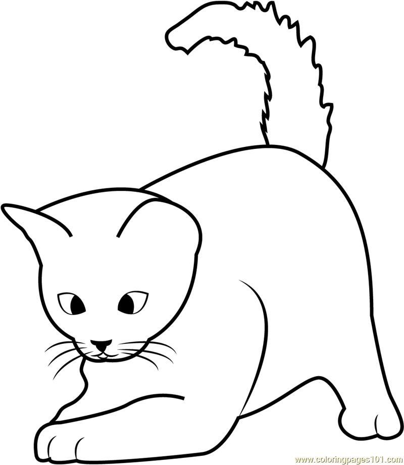 Cute Kitten Playing Coloring Page For Kids Free Cat Printable 