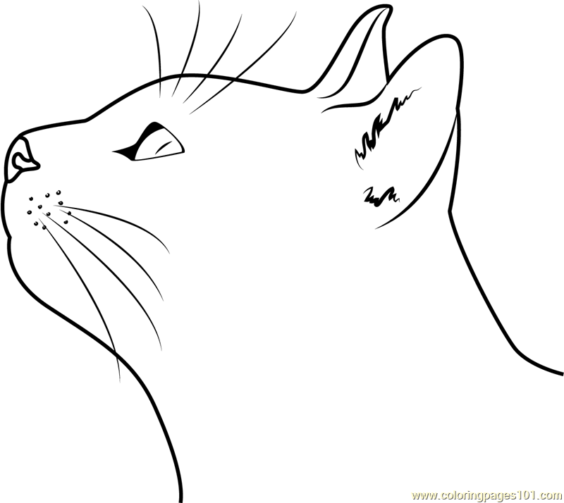 Italy Cat Coloring Page for Kids - Free Cat Printable Coloring Pages