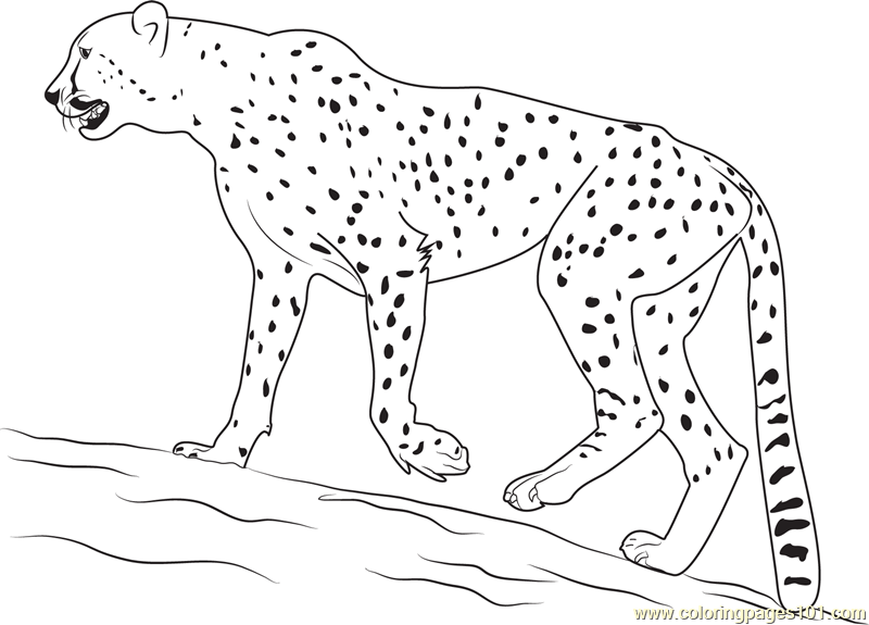 Walking Cheetah Coloring Page For Kids Free Cheetah Printable Coloring Pages Online For Kids Coloringpages101 Com Coloring Pages For Kids