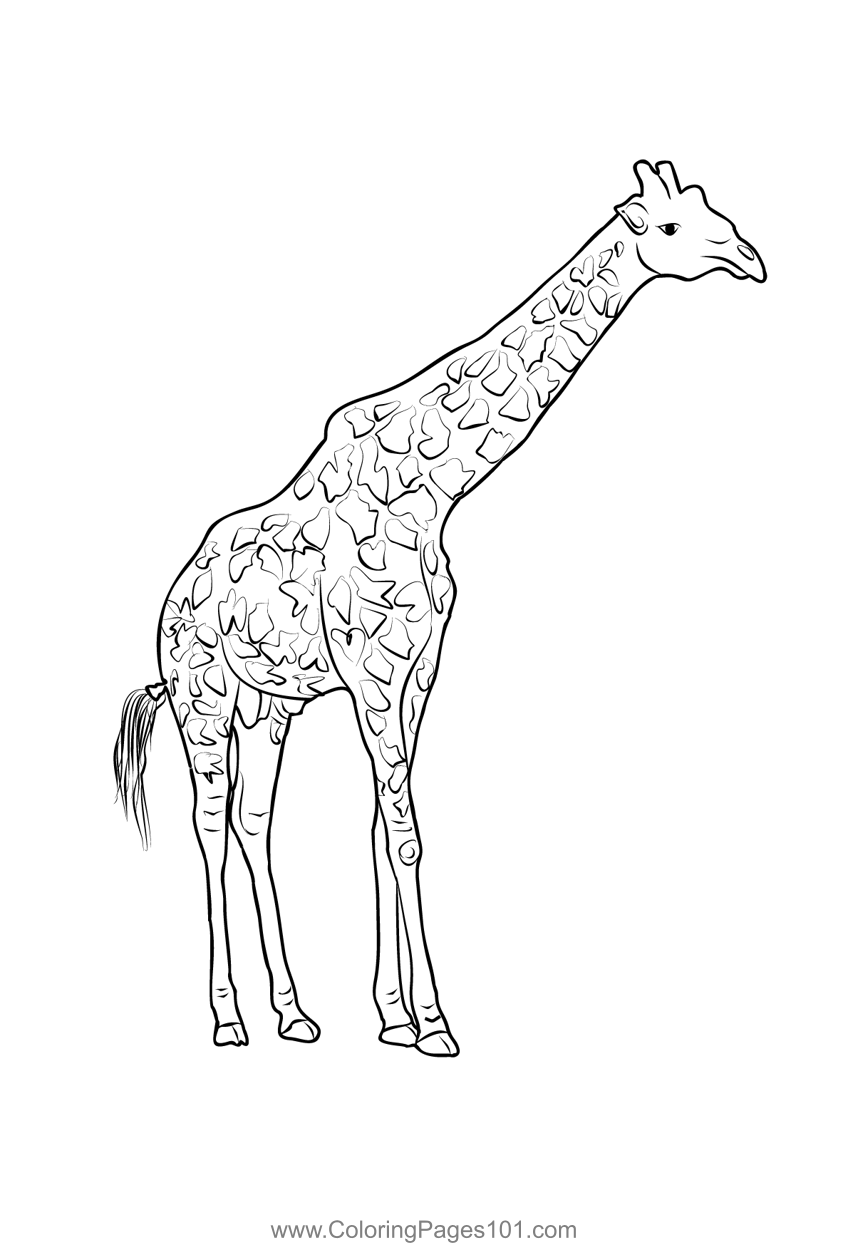 Nairobi National Park Coloring Page for Kids - Free Kenya Printable