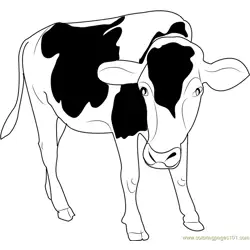 Black and White Cow Coloring Page for Kids - Free Cow Printable ...