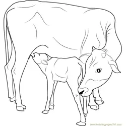 Cow Coloring Pages for Kids Printable Free Download - ColoringPages101.com