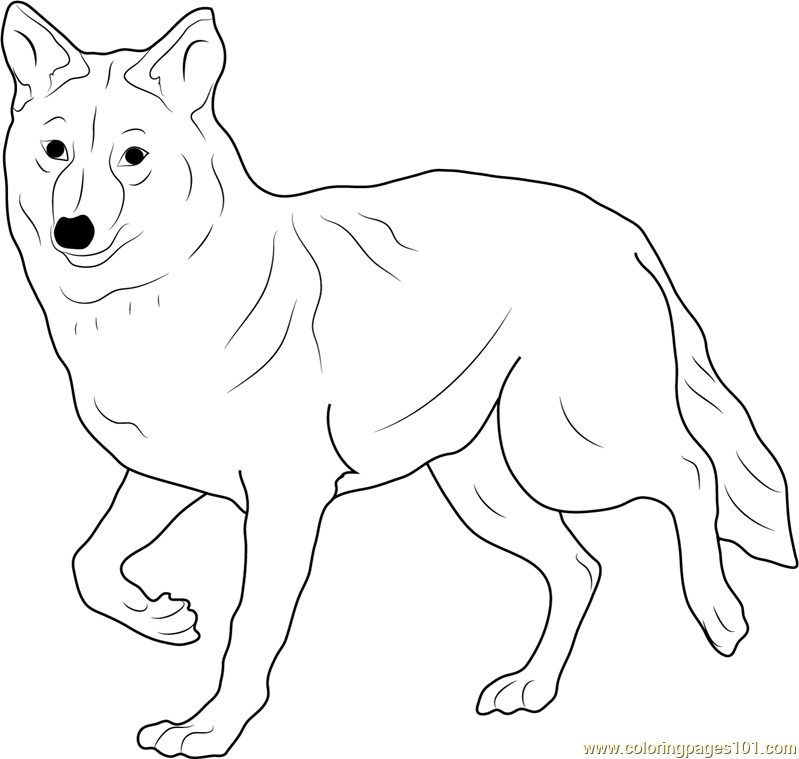 Coyote Coloring Page for Kids - Free Coyote Printable Coloring Pages