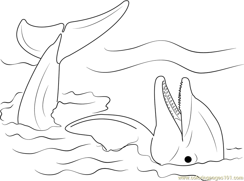 Lazy Dolphin Coloring Page for Kids - Free Dolphin Printable Coloring