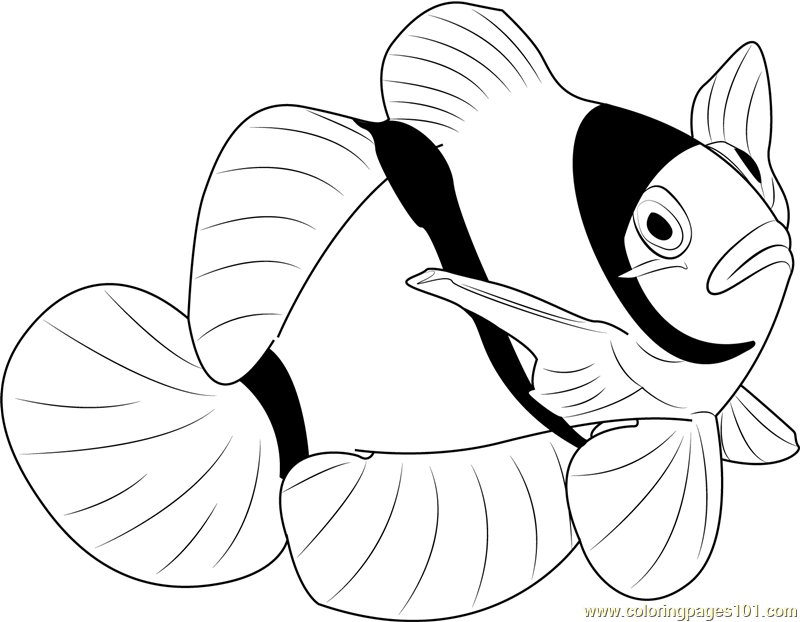 Clown Fish Coloring Pages