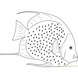 White Fish Coloring Page for Kids - Free Other Fish Printable Coloring ...