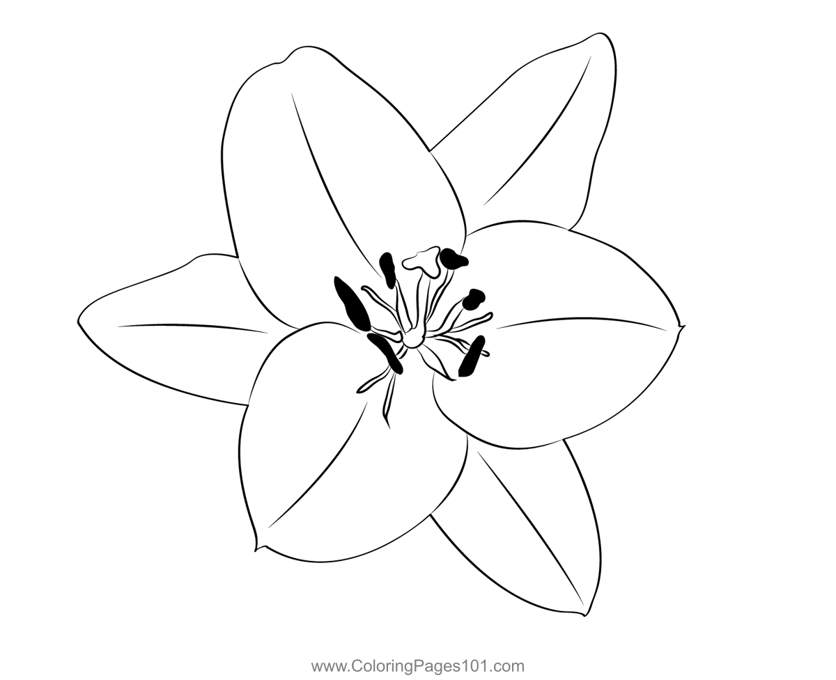 free oriental coloring pages