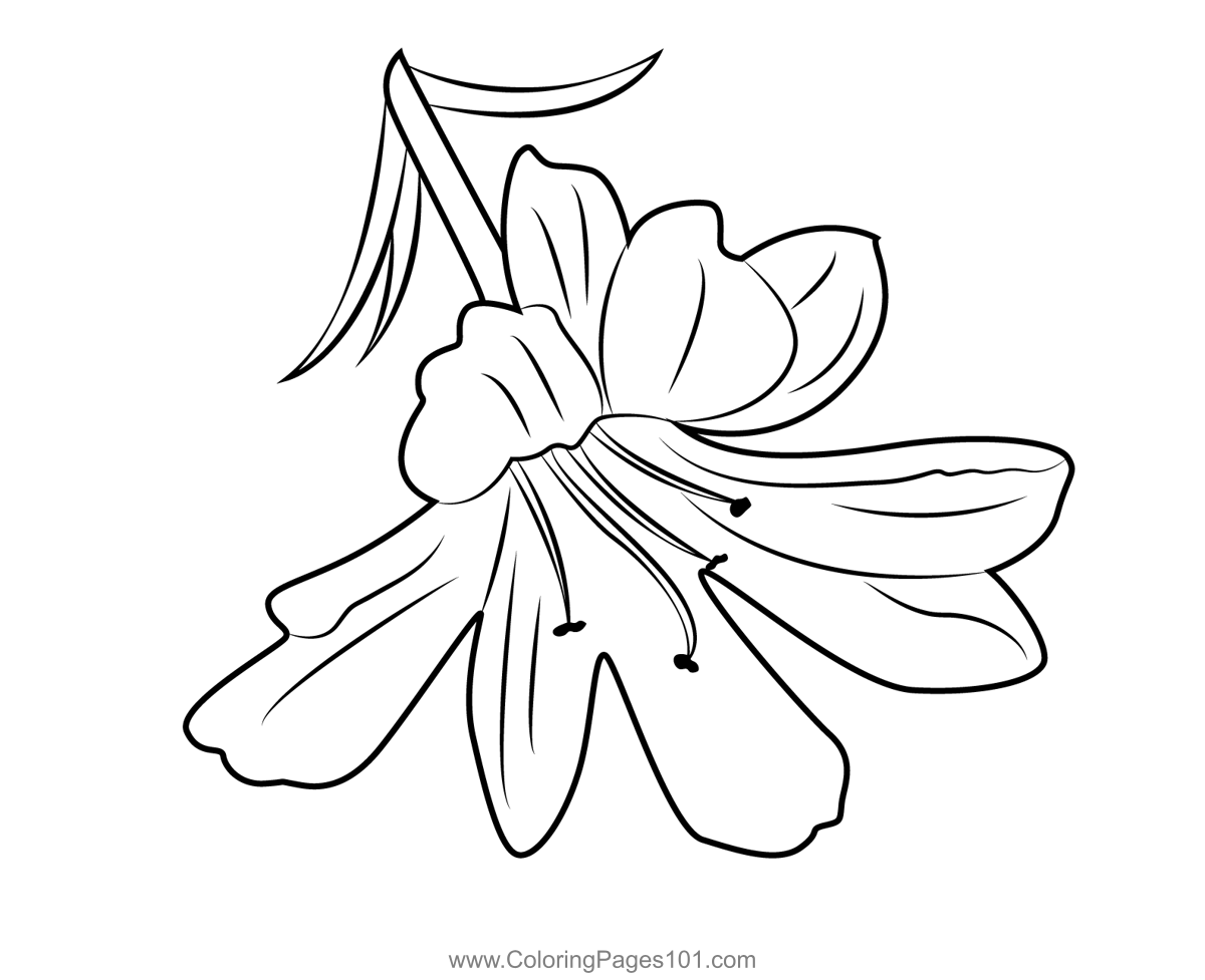 lilies clipart black and white cars