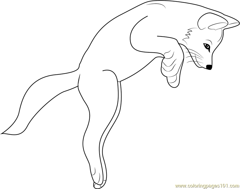 Fox Jumping Coloring Page For Kids Free Fox Printable Coloring Pages 