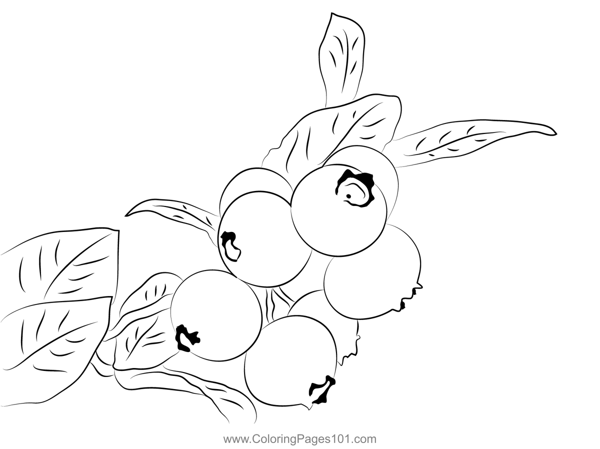 Salud Coloring Page For Kids - Free Blueberry Printable Coloring Pages 