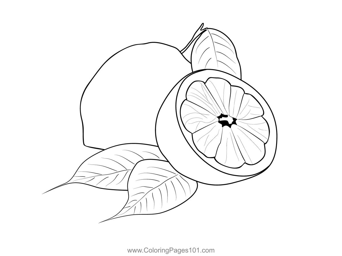 Lemons 1 Coloring Page for Kids Free Lemon Printable Coloring Pages