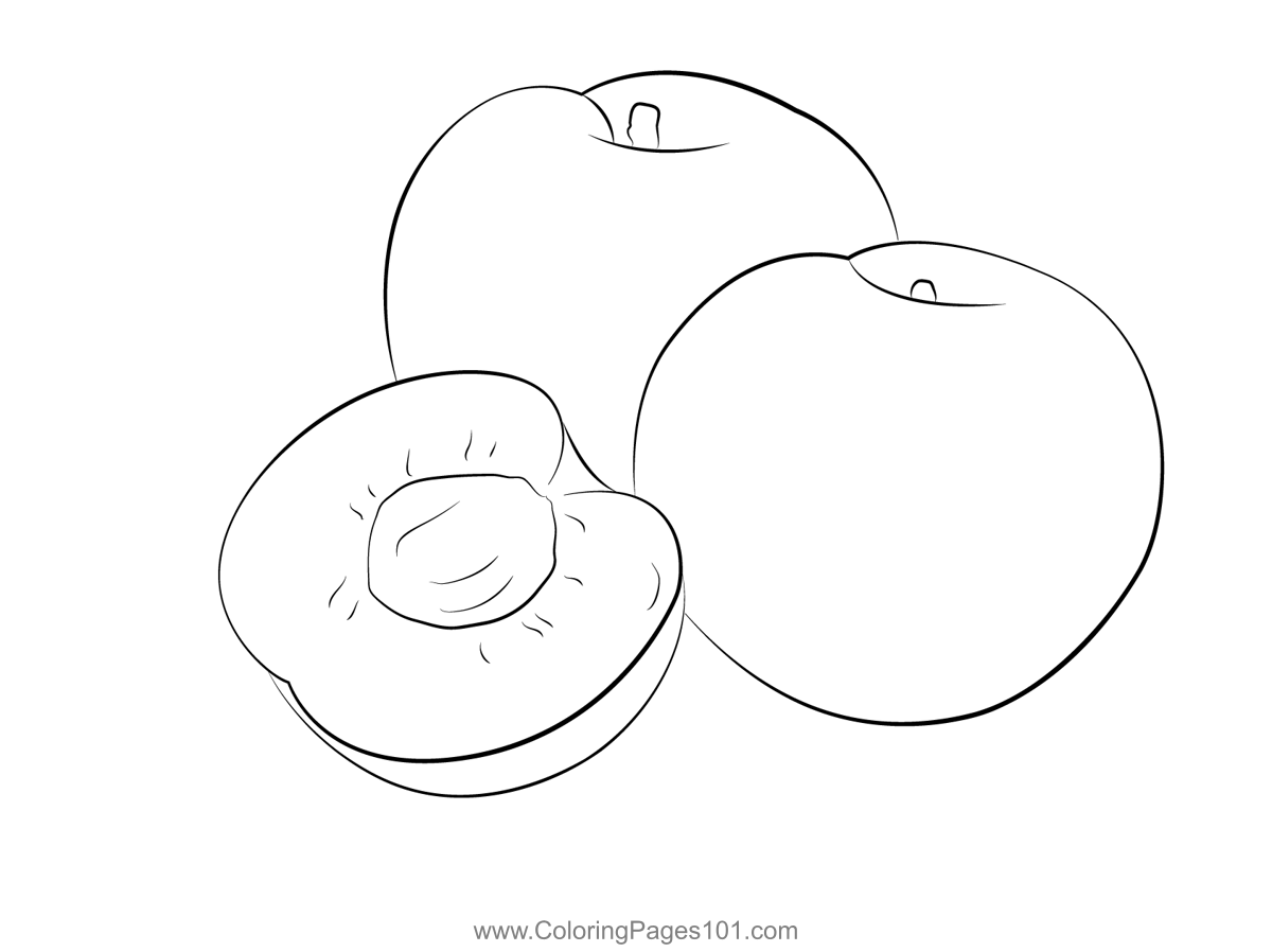 Blacks Plendorplum Coloring Page for Kids - Free Plum Printable ...