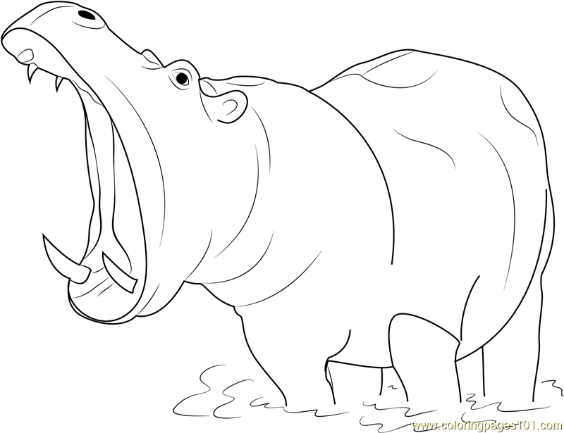 Discover 166+ hippo drawing for kids - seven.edu.vn