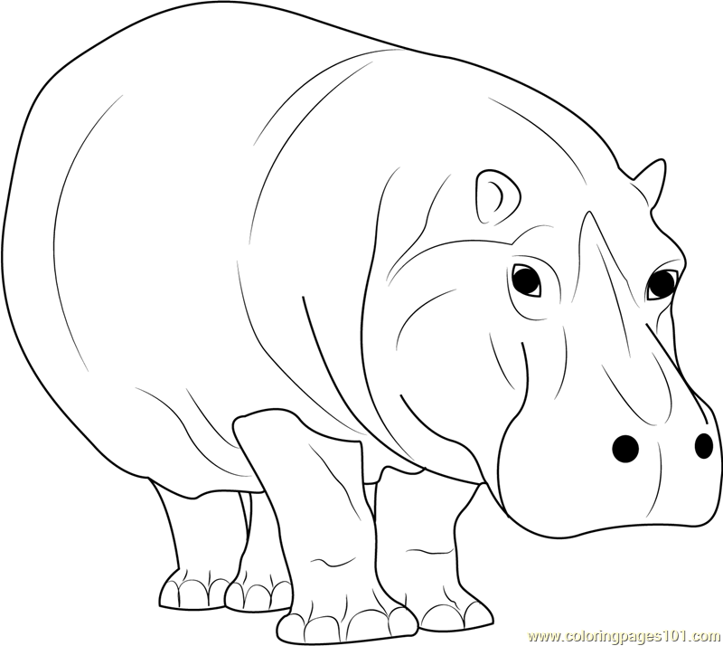 Hippopotamus Walking Coloring Page - Free Hippopotamus Coloring Pages ...
