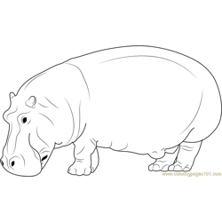 Hippopotamus Coloring Pages for Kids Printable Free Download ...