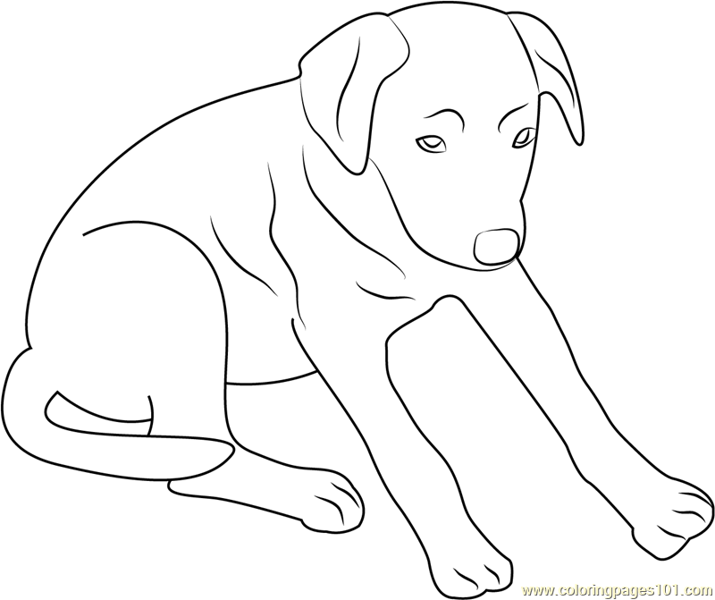 Black Up Dog Coloring Page for Kids - Free Dog Printable Coloring Pages ...