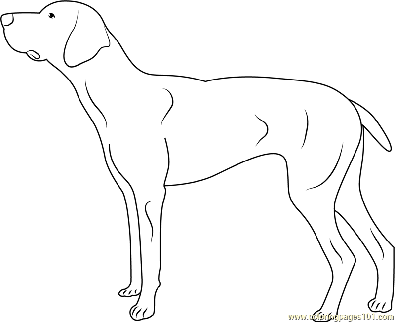 Doberman Coloring Page For Kids Free Dog Printable Coloring Pages 