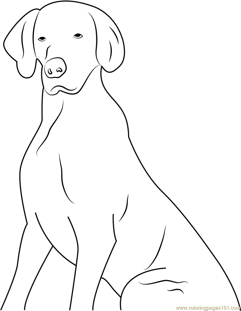 Dog Think Something Coloring Page For Kids - Free Dog Printable 