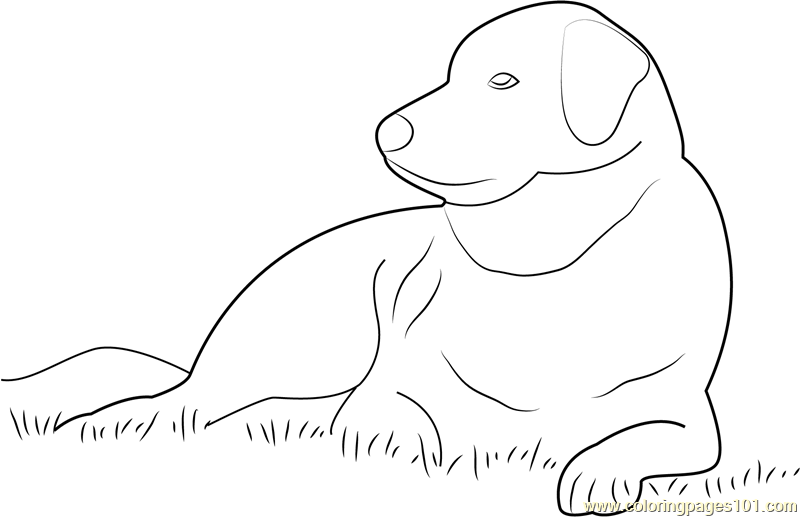 Dog see Coloring Page for Kids - Free Dog Printable Coloring Pages ...