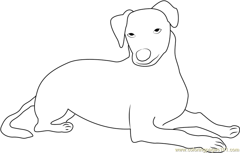 Fox Paulista Coloring Page for Kids - Free Dog Printable Coloring Pages