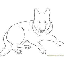 shepherd coloring pages