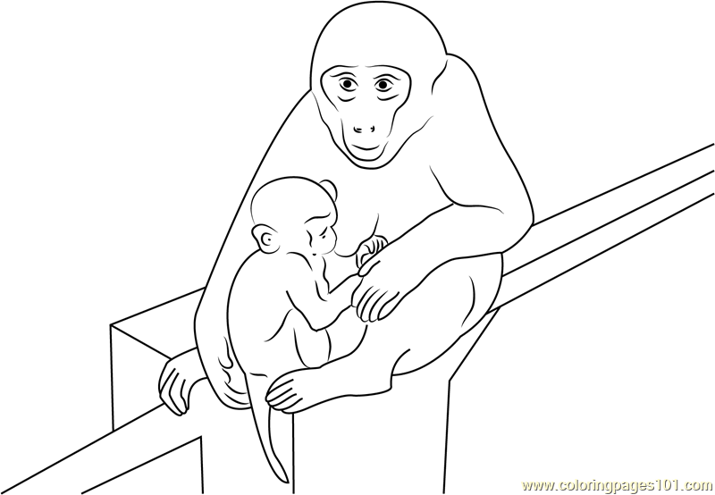 Baby Monkey With Mother Coloring Page for Kids - Free Monkey Printable