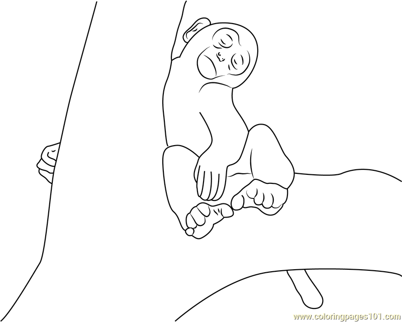 Monkey Sleeping On Tree Coloring Page for Kids - Free Monkey Printable