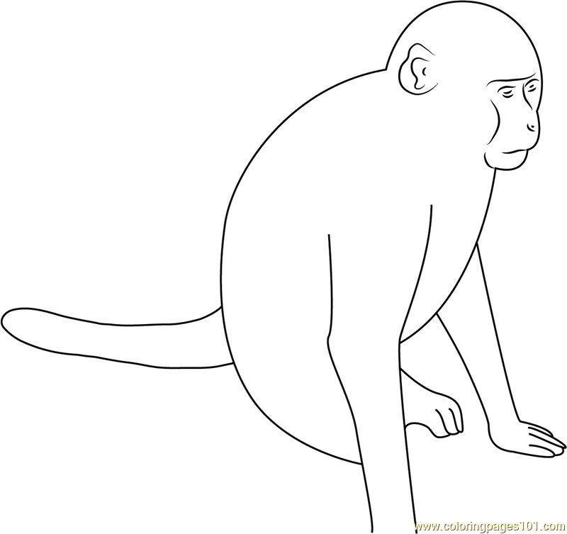 Roadside Monkey Coloring Page for Kids - Free Monkey Printable Coloring ...