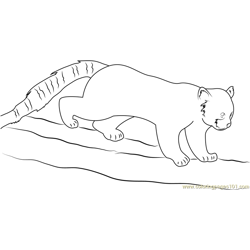 red panda having fun coloring page for kids  free red