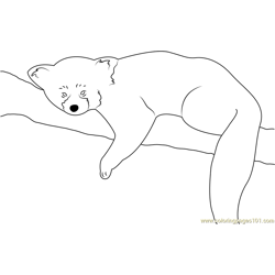 Red Panda Coloring Pages For Kids Printable Free Download Coloringpages101 Com