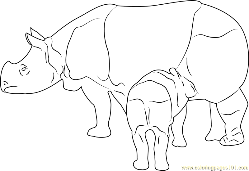 Download Panzernashorn Baby Drink Milk Coloring Page for Kids ...