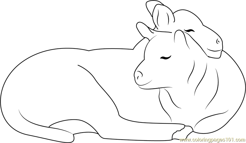 Affectionate Sheep Small Coloring Page for Kids - Free Sheep Printable