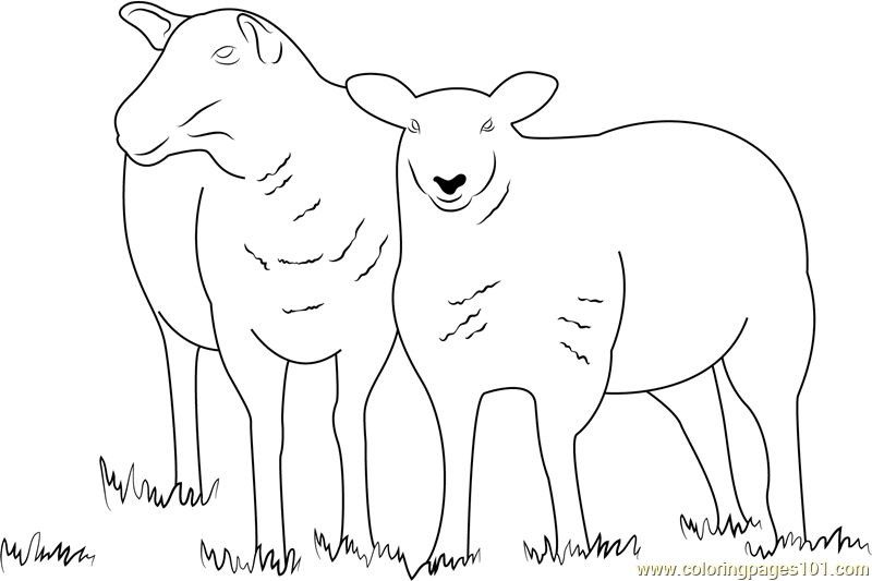 Two Sheeps Coloring Page for Kids - Free Sheep Printable Coloring Pages