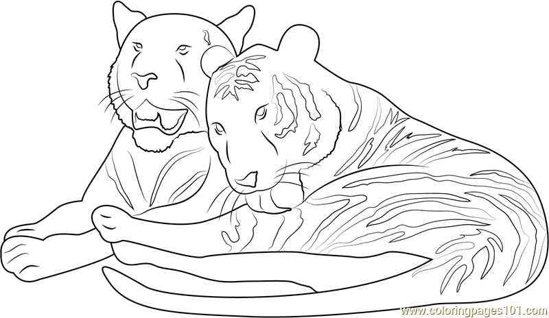 Tiger in Love Coloring Page for Kids - Free Tiger Printable Coloring